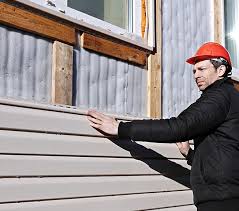 Best Storm Damage Siding Repair  in Apopka, FL